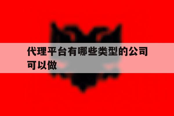 代理平台有哪些类型的公司可以做的简单介绍 代理平台有哪些类型的公司可以做的简单介绍