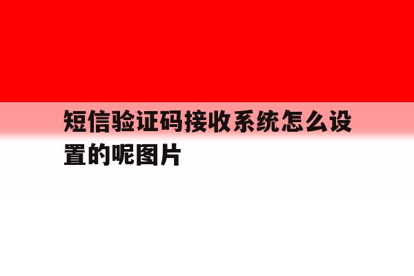 短信验证码接收系统怎么设置的呢图片 短信验证码接收系统怎么设置的呢图片