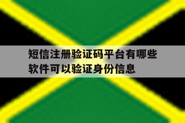 短信注册验证码平台有哪些软件可以验证身份信息的简单介绍