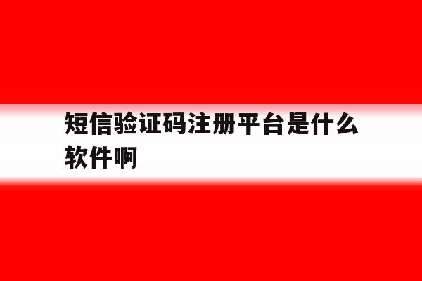 短信验证码注册平台是什么软件啊 短信验证码注册平台是什么软件啊