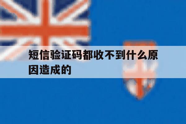 短信验证码都收不到什么原因造成的 短信验证码都收不到什么原因造成的