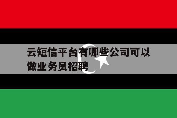 云短信平台有哪些公司可以做业务员招聘 云短信平台有哪些公司可以做业务员招聘