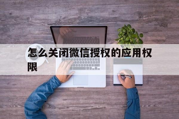 怎么关闭微信授权的应用权限 怎么关闭微信授权的应用权限