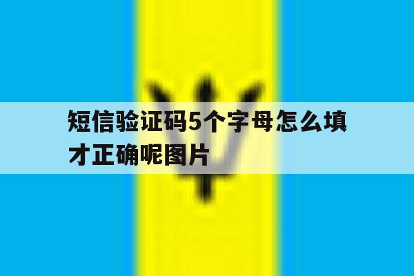 短信验证码5个字母怎么填才正确呢图片 短信验证码5个字母怎么填才正确呢图片
