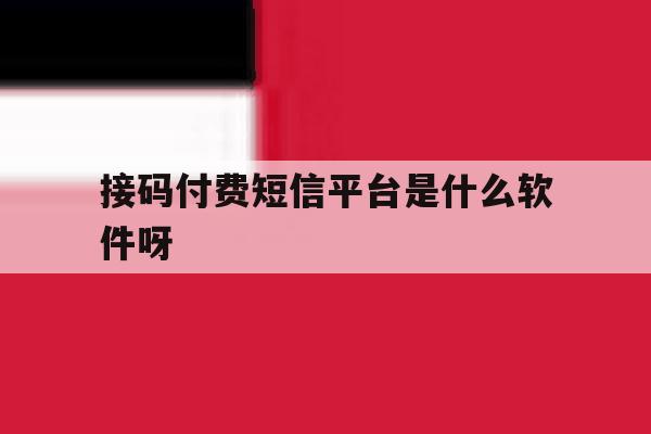 接码付费短信平台是什么软件呀 接码付费短信平台是什么软件呀