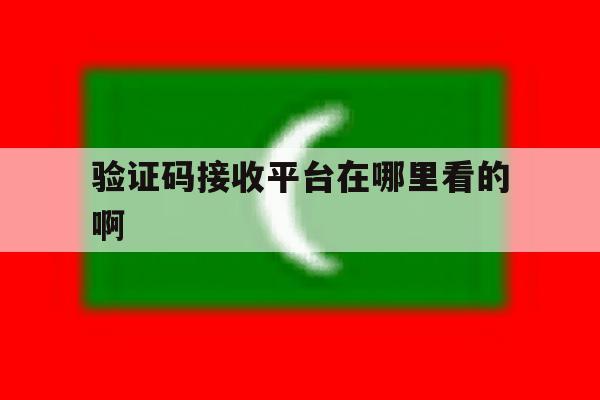 验证码接收平台在哪里看的啊 验证码接收平台在哪里看的啊