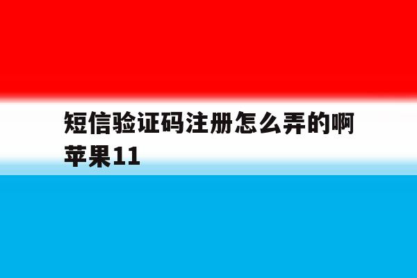短信验证码注册怎么弄的啊苹果11 短信验证码注册怎么弄的啊苹果11