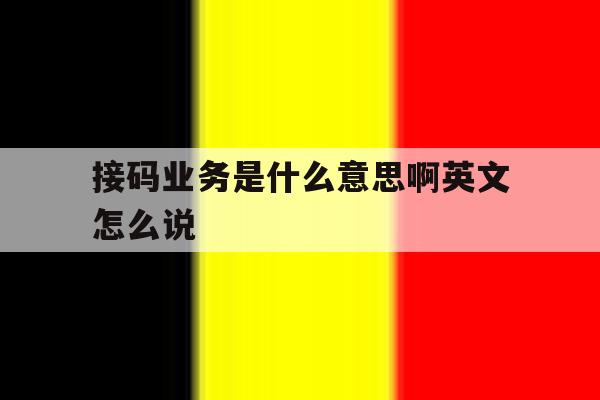 接码业务是什么意思啊英文怎么说 接码业务是什么意思啊英文怎么说