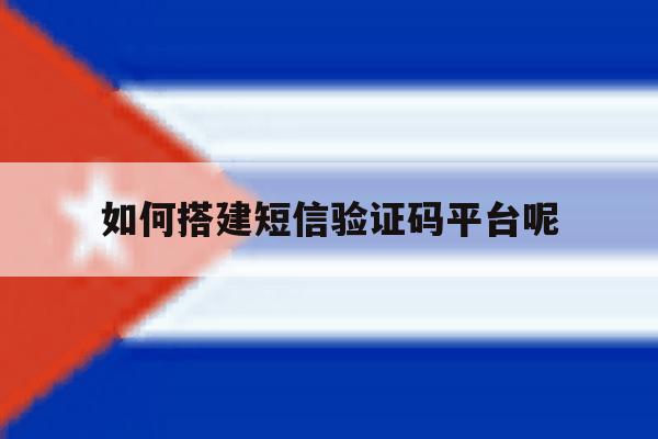 如何搭建短信验证码平台呢 如何搭建短信验证码平台呢