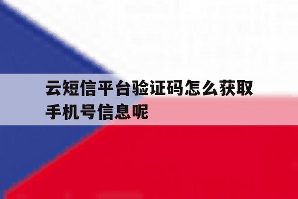 包含云短信平台验证码怎么获取手机号信息呢的词条 包含云短信平台验证码怎么获取手机号信息呢的词条