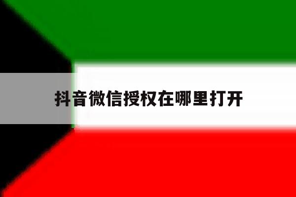 抖音微信授权在哪里打开 抖音微信授权在哪里打开