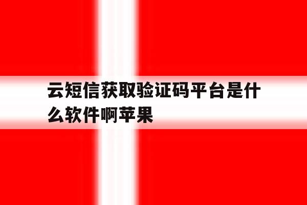 云短信获取验证码平台是什么软件啊苹果 云短信获取验证码平台是什么软件啊苹果