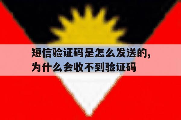 关于短信验证码是怎么发送的,为什么会收不到验证码的信息 关于短信验证码是怎么发送的,为什么会收不到验证码的信息