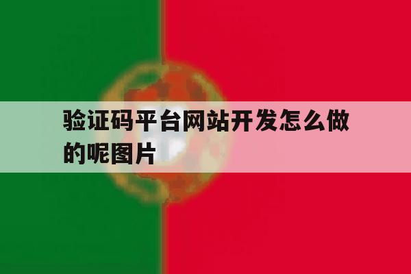 验证码平台网站开发怎么做的呢图片 验证码平台网站开发怎么做的呢图片