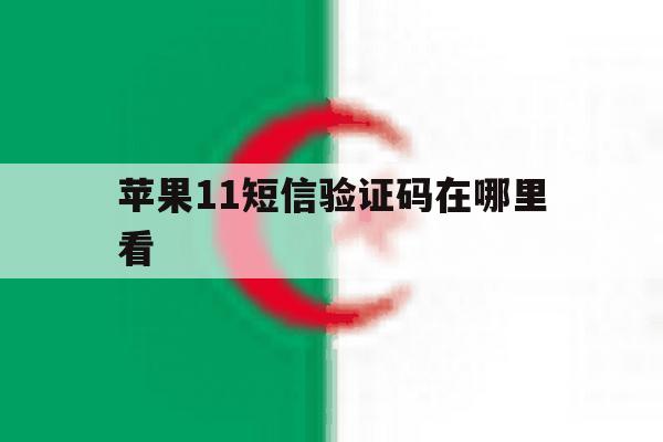 苹果11短信验证码在哪里看 苹果11短信验证码在哪里看