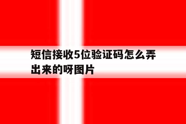 关于短信接收5位验证码怎么弄出来的呀图片的信息 关于短信接收5位验证码怎么弄出来的呀图片的信息