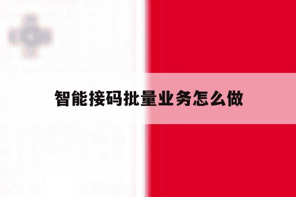 智能接码批量业务怎么做 智能接码批量业务怎么做