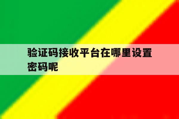 验证码接收平台在哪里设置密码呢 验证码接收平台在哪里设置密码呢