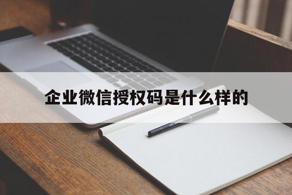 企业微信授权码是什么样的 企业微信授权码是什么样的