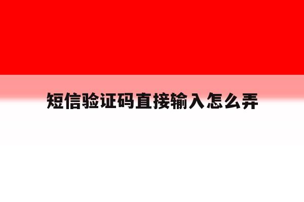 短信验证码直接输入怎么弄 短信验证码直接输入怎么弄