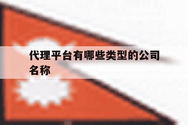 代理平台有哪些类型的公司名称 代理平台有哪些类型的公司名称