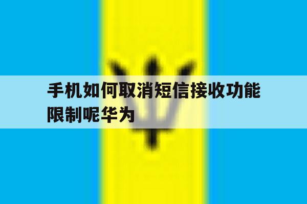 手机如何取消短信接收功能限制呢华为的简单介绍 手机如何取消短信接收功能限制呢华为的简单介绍