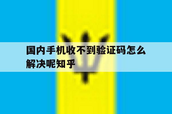 国内手机收不到验证码怎么解决呢知乎的简单介绍 国内手机收不到验证码怎么解决呢知乎的简单介绍