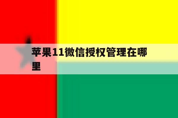 苹果11微信授权管理在哪里 苹果11微信授权管理在哪里