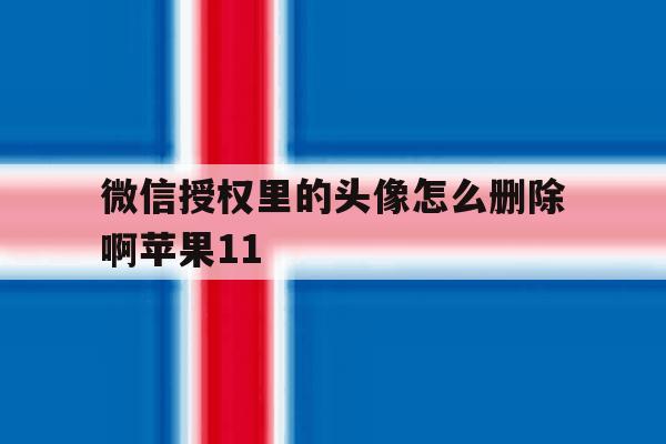 微信授权里的头像怎么删除啊苹果11的简单介绍 微信授权里的头像怎么删除啊苹果11的简单介绍