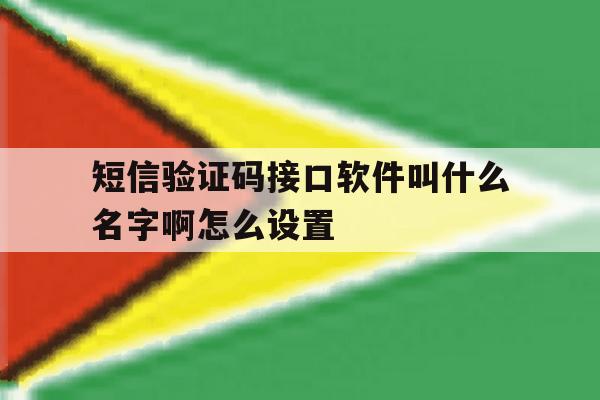 短信验证码接口软件叫什么名字啊怎么设置 短信验证码接口软件叫什么名字啊怎么设置