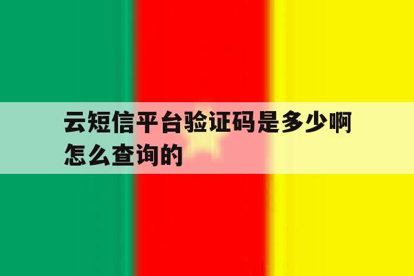 云短信平台验证码是多少啊怎么查询的 云短信平台验证码是多少啊怎么查询的
