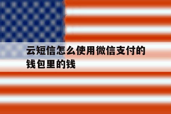云短信怎么使用微信支付的钱包里的钱 云短信怎么使用微信支付的钱包里的钱