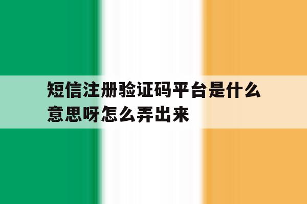 短信注册验证码平台是什么意思呀怎么弄出来 短信注册验证码平台是什么意思呀怎么弄出来