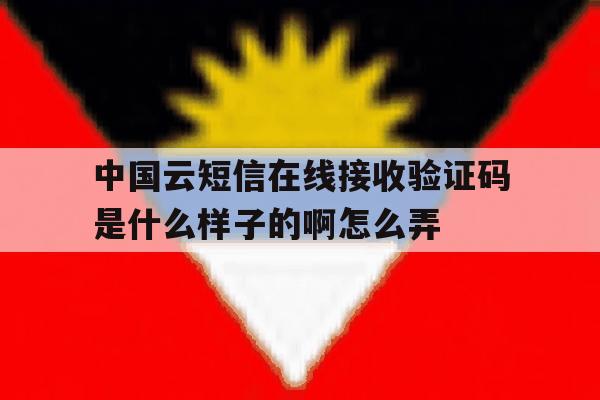 中国云短信在线接收验证码是什么样子的啊怎么弄的简单介绍 中国云短信在线接收验证码是什么样子的啊怎么弄的简单介绍