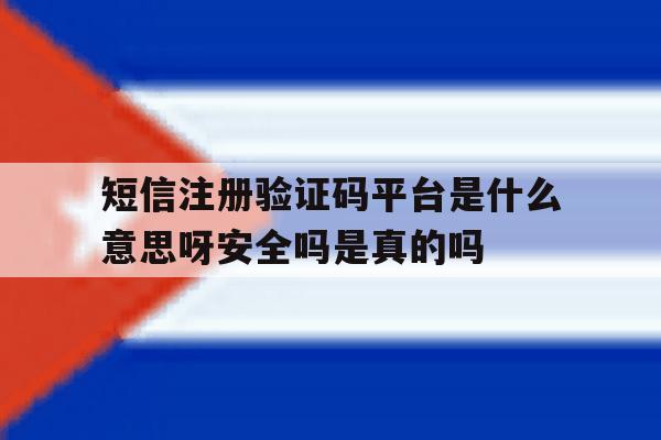 短信注册验证码平台是什么意思呀安全吗是真的吗的简单介绍