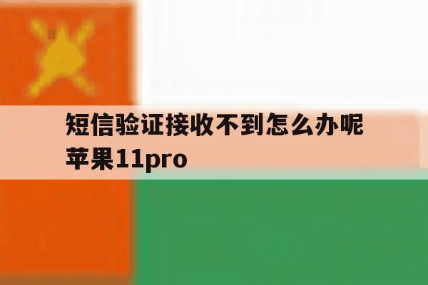 关于短信验证接收不到怎么办呢苹果11pro的信息 关于短信验证接收不到怎么办呢苹果11pro的信息