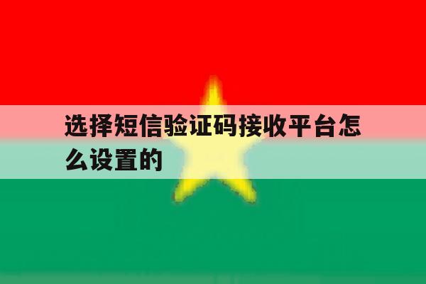 选择短信验证码接收平台怎么设置的 选择短信验证码接收平台怎么设置的