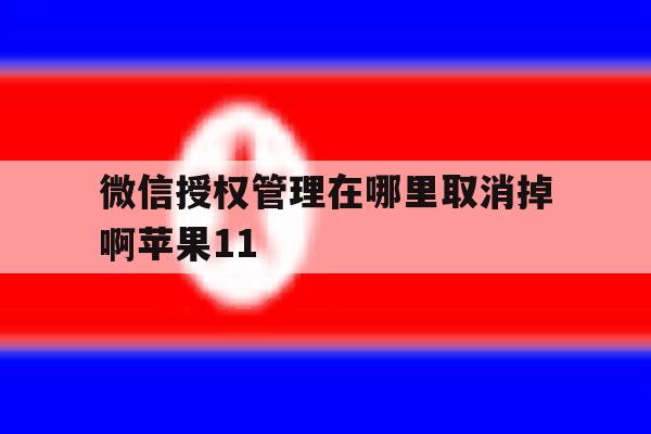 微信授权管理在哪里取消掉啊苹果11 微信授权管理在哪里取消掉啊苹果11