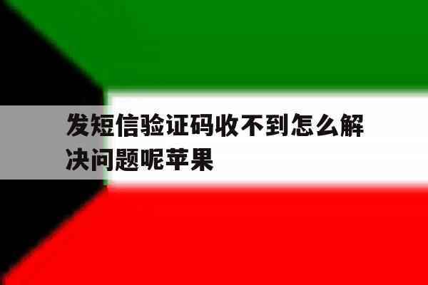 发短信验证码收不到怎么解决问题呢苹果 发短信验证码收不到怎么解决问题呢苹果