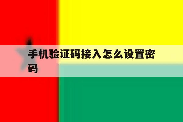 手机验证码接入怎么设置密码 手机验证码接入怎么设置密码