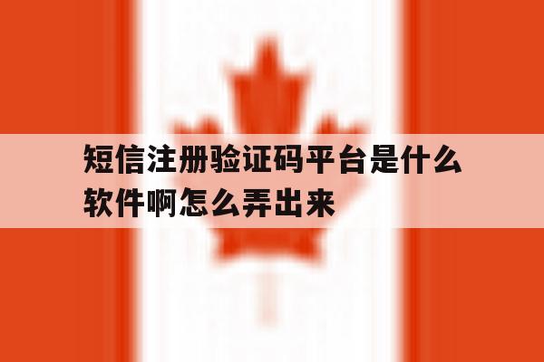 短信注册验证码平台是什么软件啊怎么弄出来