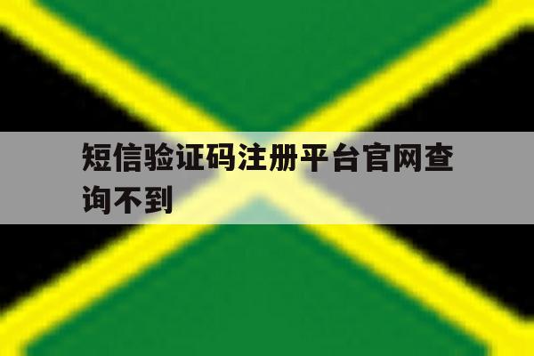 短信验证码注册平台官网查询不到