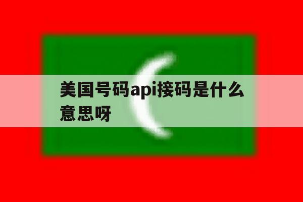 美国号码api接码是什么意思呀 美国号码api接码是什么意思呀