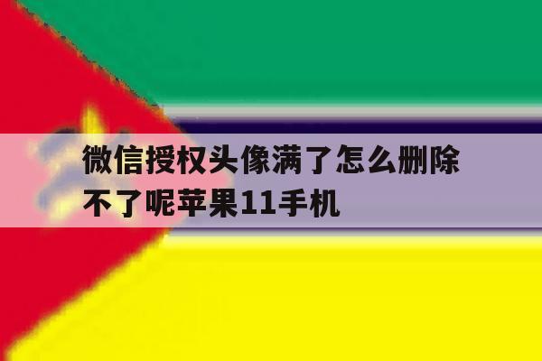 微信授权头像满了怎么删除不了呢苹果11手机的简单介绍 微信授权头像满了怎么删除不了呢苹果11手机的简单介绍