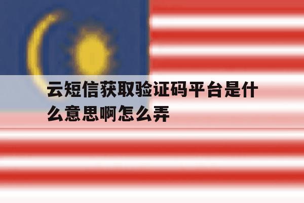 云短信获取验证码平台是什么意思啊怎么弄 云短信获取验证码平台是什么意思啊怎么弄