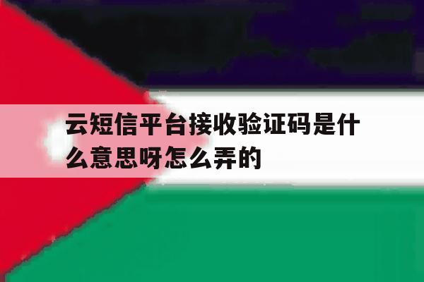 云短信平台接收验证码是什么意思呀怎么弄的 云短信平台接收验证码是什么意思呀怎么弄的